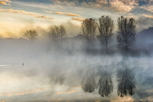 Reflections on Adda river at dawn, Lecco Province, Lombardy, Italy