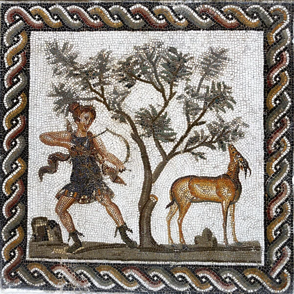 Roman mosaic, Bardo museum, Tunis, Tunisia