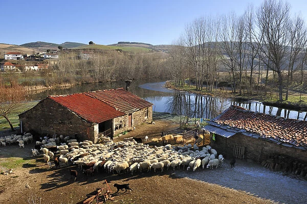 Rural scene in Gimonde. Montesinho Natural Park, Portugal