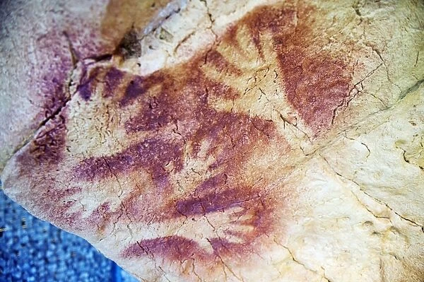 Spain, Cave of Altimira, rock art paintings of animals, Unesco site