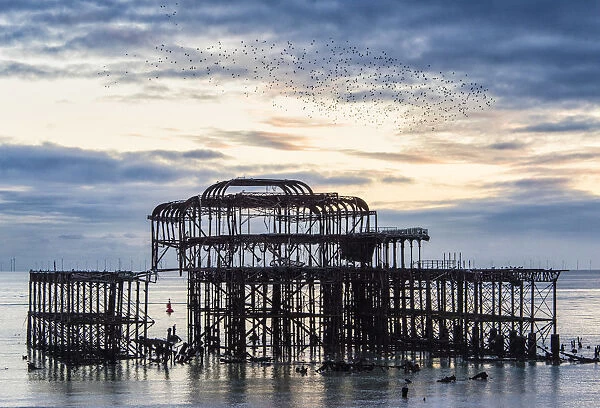 Starling murmuration above Brighton West Pier, East Sussex, England