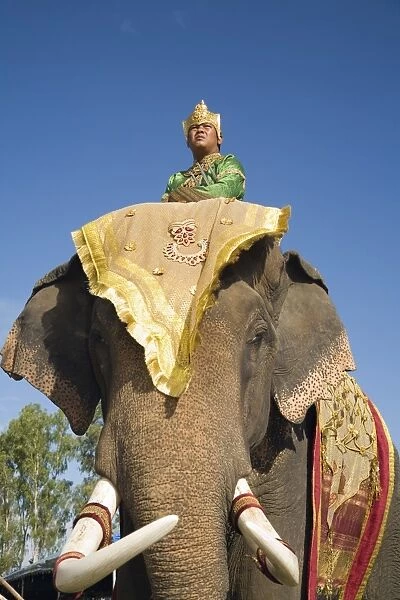 Thailand, Surin, Surin. Suai mahout and his elephant in costume dress during the Surin Elephant Roundup festival. The event held in November sees hundreds of elephants involved in a celebration of the regions elephant history