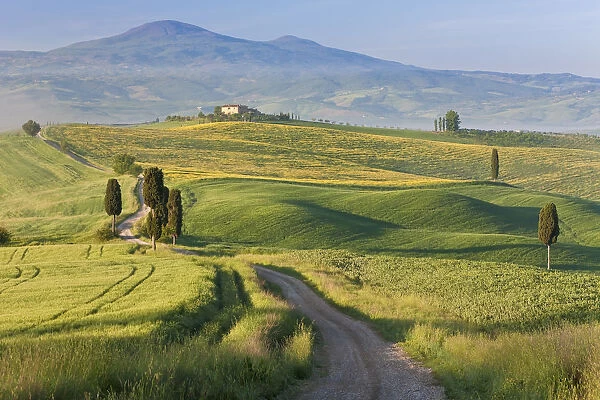 Track, San Quirico d orcia, Val d orcia, Tuscany, Italy