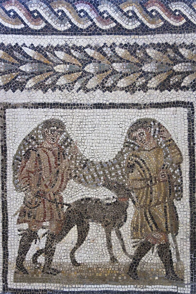 Tunisia, Northern Tunisia, Utica, Musee d Utique, Roman-era mosaic