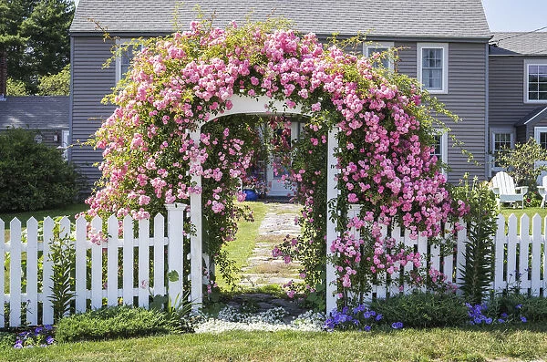 USA, New England, Maine, Cape Porpoise, flower covered gate, summer