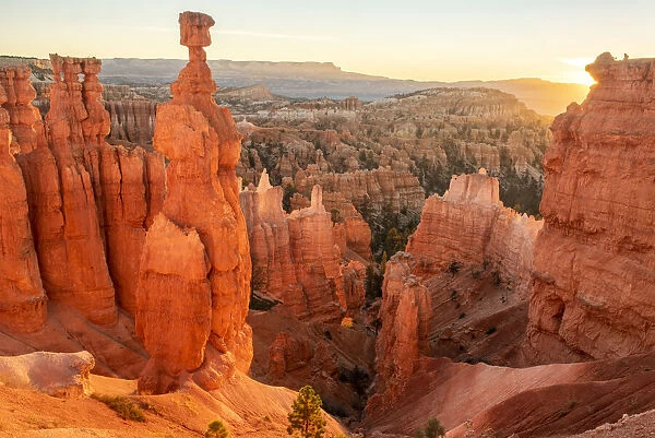 USA, Southwest, Colorado Plateau, Utah, Bryce Canyon, National Park, UNESCO