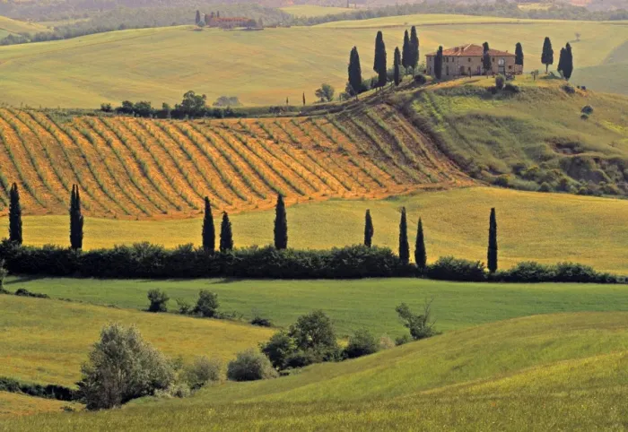 Framed Print : Val d'Orcia Print - Tuscany Landscape Framed Print : Val d'Orcia Print - Tuscany Landscape