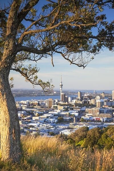 View of Auckland from Mount Eden, Auckland, North Island, New Zealand