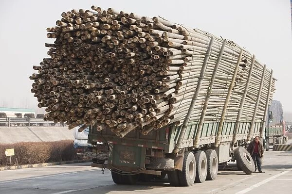 A lorry overloaded with bamboo breaks down in northern China