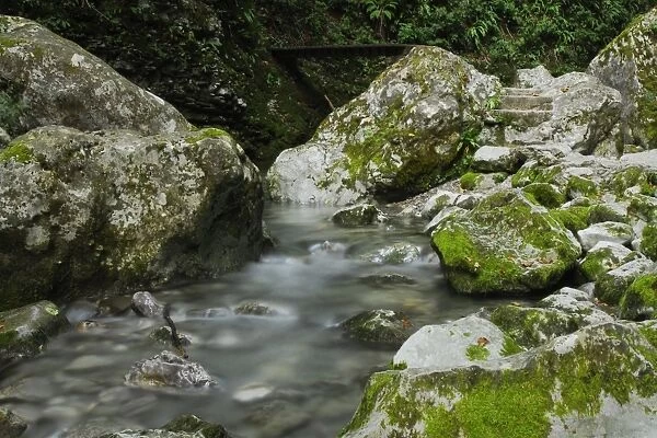 Walking trail, moss rocks, water, tribute, stream. Koberjan, So cata, Slovenia
