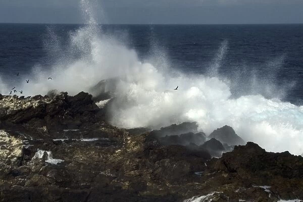 Waves pounding at rocks, St. Peter and St. Pauls rocks, Brazil, Atlantic Ocean