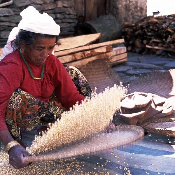 Woman Willowing Maize. Annapurna Trail near Pokhara