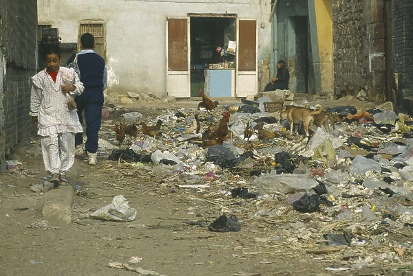10031039. EGYPT Cairo School children walking past rubbish dump with chickens