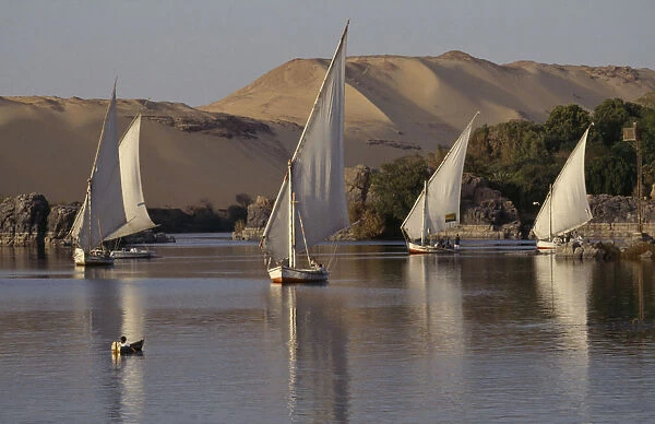 10041987. EGYPT Upper Egypt Aswan Feluccas sailing on the Nile