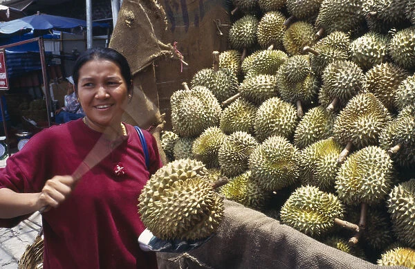 20003947. THAILAND Chiang Mai Warorot Woman tests durian fruit in market north