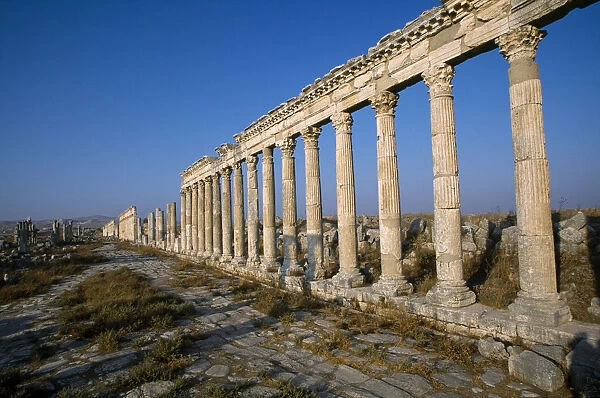 20014395. SYRIA Central Apamea Historical site above the village of Qalaat Mudiq
