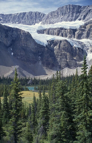 20025464. CANADA Alberta Icefields Parkway Crowfoot Glacier