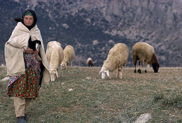 20032933. ALGERIA Aurres Young shepherdess with flock