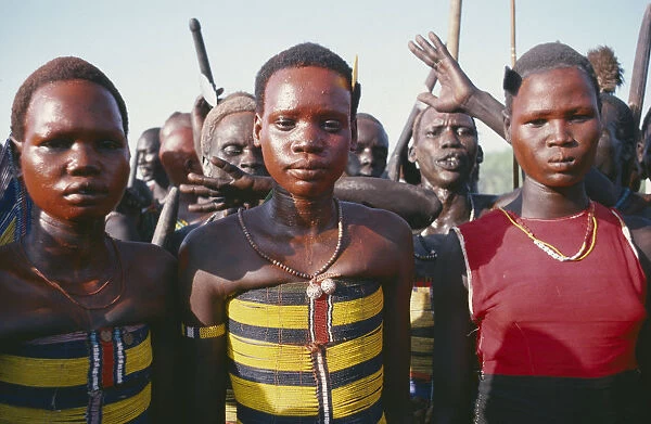 20048644. SUDAN South Tribal Peoples Dinka cattle festival or Toich