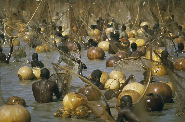 20051413. NIGERIA Argungu Fishing Festival