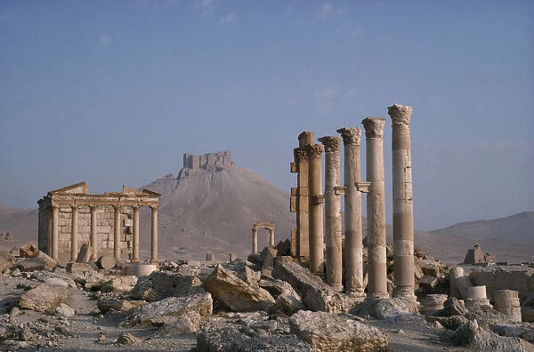 20055025. SYRIA Palmyra Roman ruins with columns
