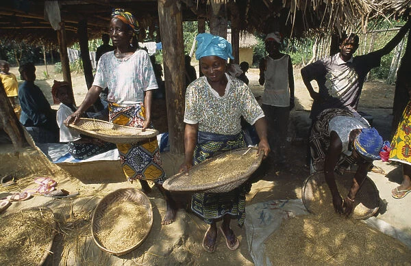20064184. LIBERIA Margibi Wohn Women winnowing grain