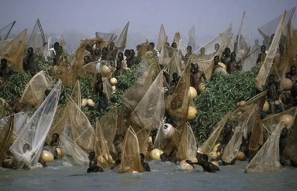 20072748. NIGERIA North Argungu Fishing Festival
