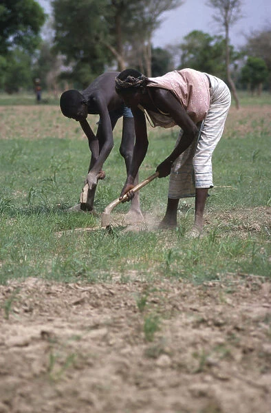20074136. BURKINA FASO Kiembara Man and woman hand tilling soil in field