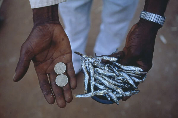 20074901. MALAWI Mulanje Peter Makfero travels 300km every fortnight to buy fish