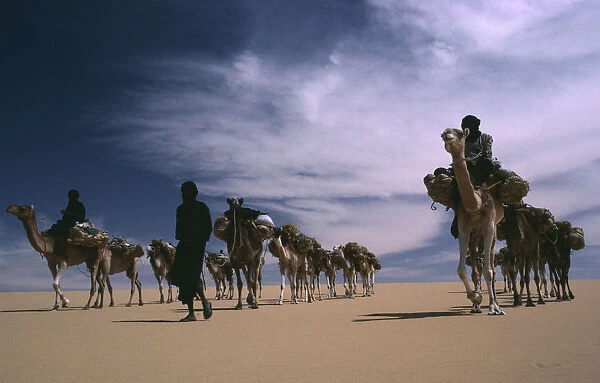 20075125. NIGER Transport Animals Tuareg camel caravan. toureg