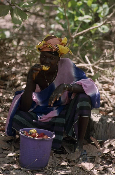 20075207. GAMBIA People Women Woman sat with bucket eating cashew fruit