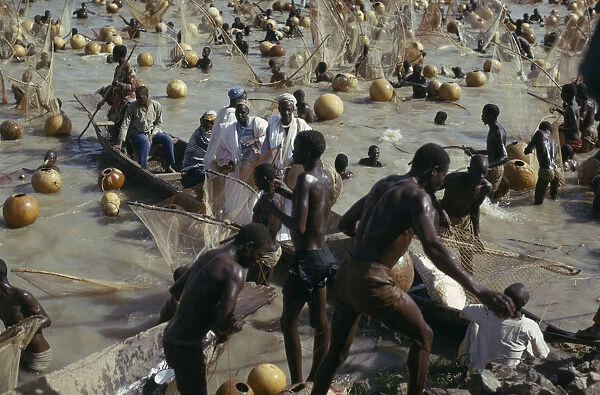 20085676. NIGERIA North Argungu Fishing Festival mass of men