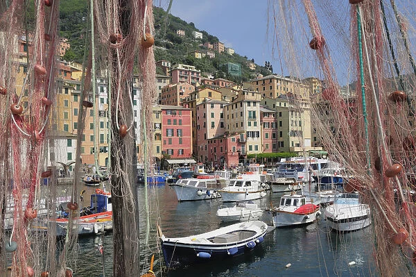 Italy, Liguria, Camogli, harbour with fishing boats & nets