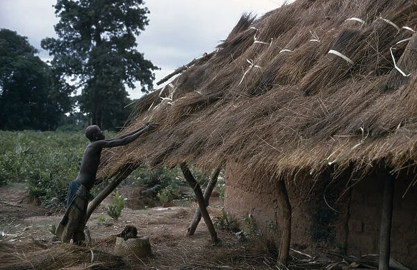 SENEGAL, Architecture Woman thatching mud brick village house