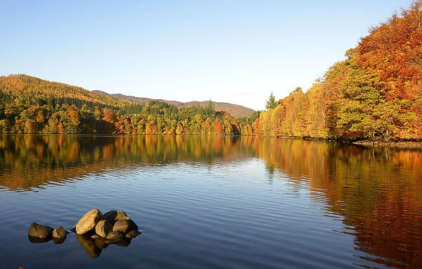 Autumn trees are reflected in the water of Faskally Loch near Pitlochry, Scotland