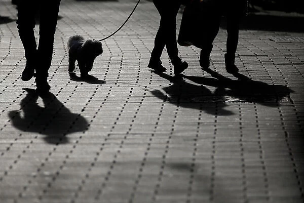 People walk a dog during the start of winter sales in downtown Strasbourg