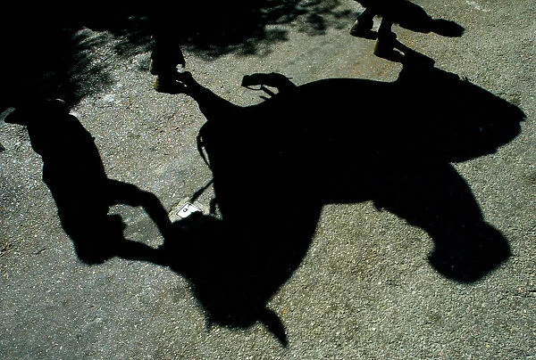 Shadow of a rider on his horse is reflected on a street during Saint John festival in Ciutadella