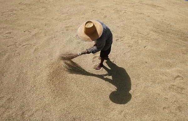 A Thai farmer dries rice grains in Buriram province