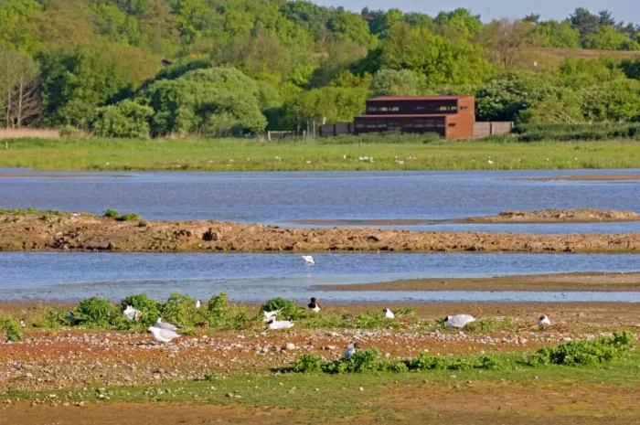 Framed Print : View across Scrape Print from East Hide Framed Print : View across Scrape Print from East Hide
