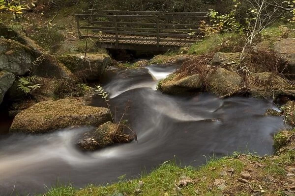 Cascades on upland stream with footbridge in woodland habitat, Wyming Brook, Sheffield, South Yorkshire, England