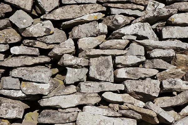 Close-up of drystone wall, built with limestone, Cumbria, England, June