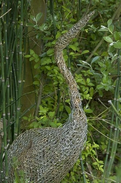 Ornamental wire mesh heron in garden, Norfolk, England, april