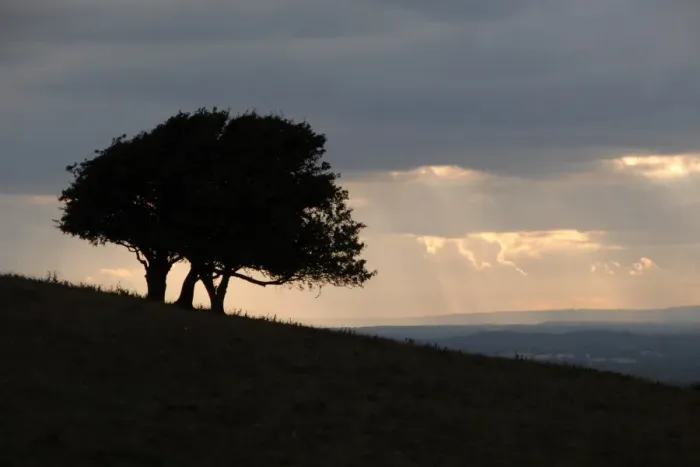 Framed Print : Fulking Escarpment Sunset Print Framed Print : Fulking Escarpment Sunset Print