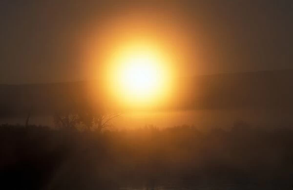 Utah Golden glow of the rising sun through stratus fog - Dinosaur National Park
