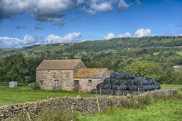 View of pasture, drystone wall, stone field barn and large black bales of silage, Leyburn, North Yorkshire, England