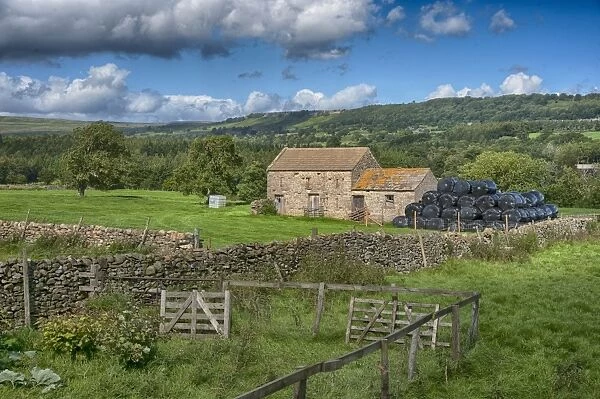 View of pasture, drystone walls, stone field barn and large black bales of silage, Leyburn, North Yorkshire, England