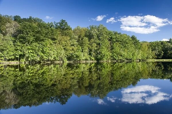 Woodland and clouds reflected in quiet lake, Bushkill Falls, Poconos Mountains, near Delaware Water Gap, Pennsylvania