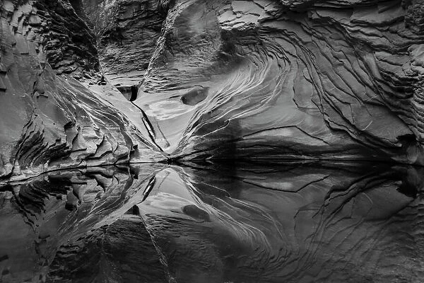 Abstract black and white reflection in North Canyon, Grand Canyon National Park, Arizona