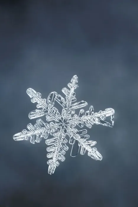 Framed Print : Single Snowflake Print (Abstract)
