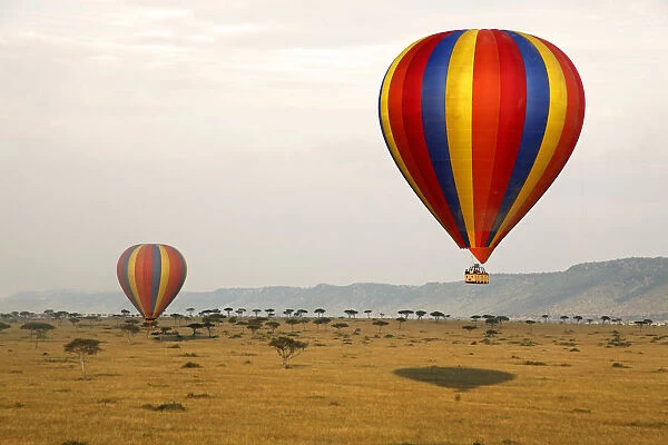 Africa, Kenya, Msai Mara. Hot-Air Ballooning over the Msai Mara